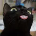 veewooveewoo