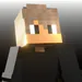 Zelomap
