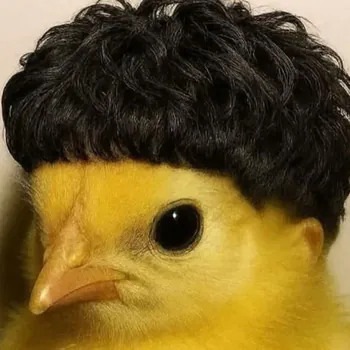 goldowa
