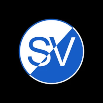 Kick profile picture for @vasa
