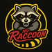 mrraccoon_it