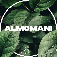 ALM0MANI
