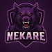 Nekare_13