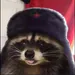 Sqwallify