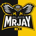 mrjayplays