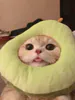 iPink