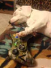 GamerGottaGame