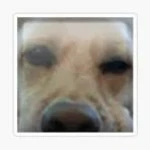 curtpur's avatar