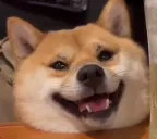 Neroh