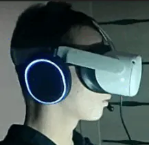 roverichvj