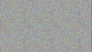chomik4040