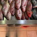 Pescadorico0