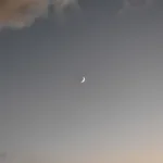 vianamo