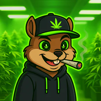 Kick Profile Pic
