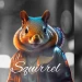xxsquirrelxx