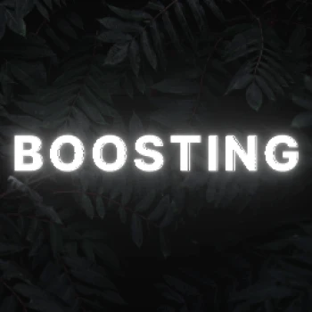 Boosting4Life