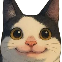 tomoque