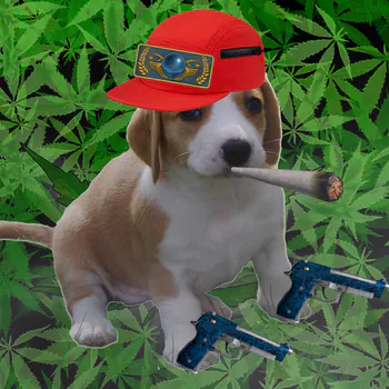 Miechuss