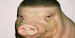 f1ntyy
