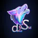 dokuzSM