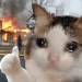 Nicknaim