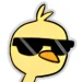 XDuckXir