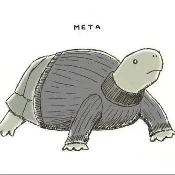 metaturtle