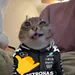 Razzeassult