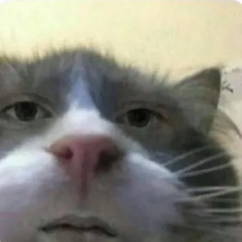 Jomig