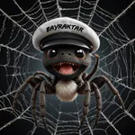 captainbayraktar