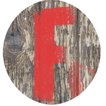 Freeozy