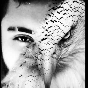 BF_FURKAN