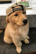 mazi1010's avatar