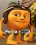 ANDERMMNF