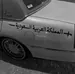 Tameem60