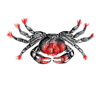 Streamer PFP