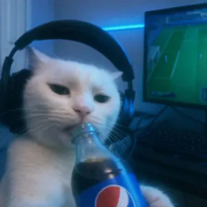 CASINOSTV