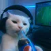 casinostv