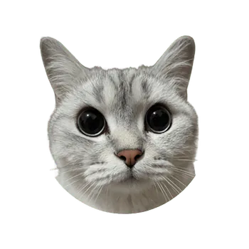 Paradoksan