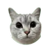 Paradoksan