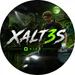 Xalt3s