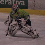 havelkins