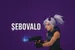 SEBOFPS11