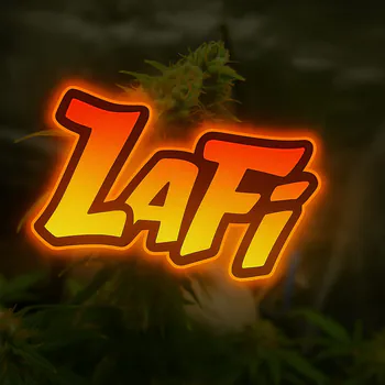 Lafi_T