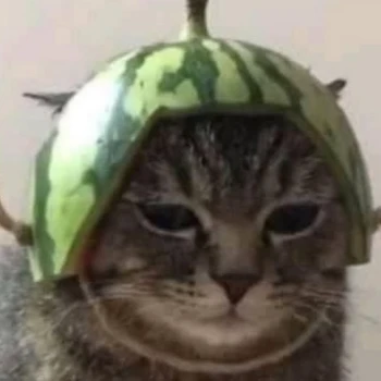 Mikyusa