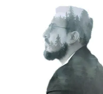 Bordorein