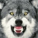 yout22 avatar