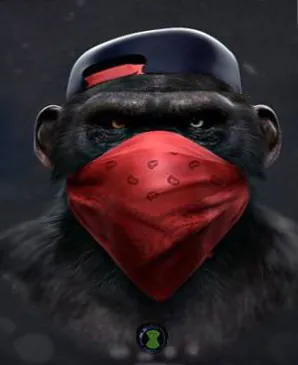 Xypnose