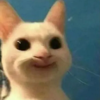 seymoverr