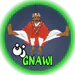 ZANGNAWI